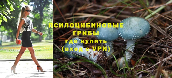 трава Медногорск