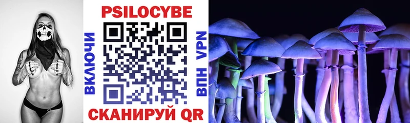 Галлюциногенные грибы Psilocybine cubensis Купить где Кудымкар